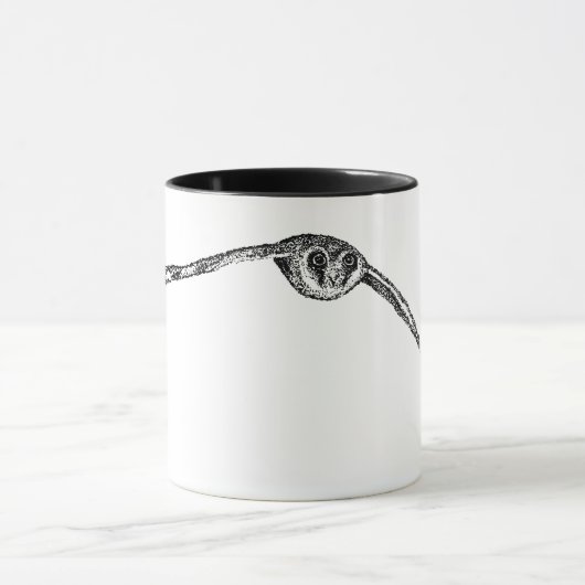 Australian Hobby of Little Falcon Mok (Midden)