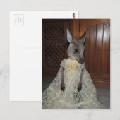 Australian Kangaroo Joey Briefkaart (Voorkant / Achterkant)