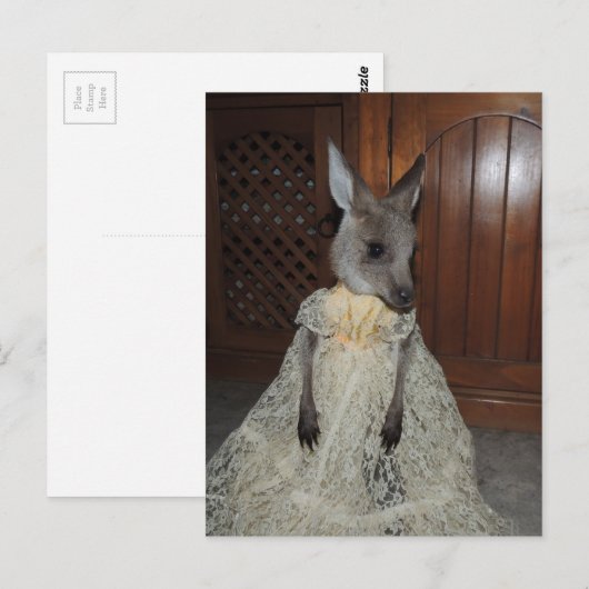 Australian Kangaroo Joey Briefkaart (Voorkant / Achterkant)