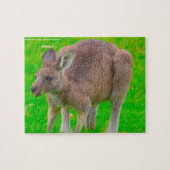 Australian Kangaroo Legpuzzel (Horizontaal)