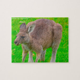 Australian Kangaroo Legpuzzel