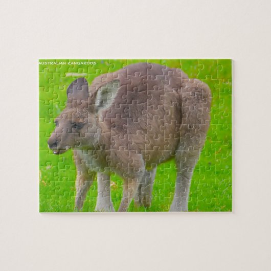 Australian Kangaroo Legpuzzel (Horizontaal)