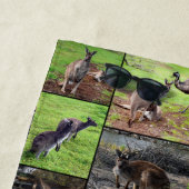 Australian Kangaroo Photo Collage Strandlaken (In situ)
