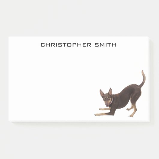 Australian Kelpie Dog Post-it® Notes (Voorkant)