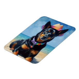 Australian Kelpie op het strand, hondenliefhebbers Magneet