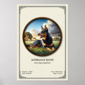 Australian Kelpie  Zoology Series Poster (Voorkant)