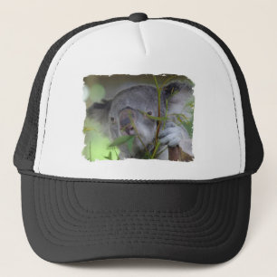 Australian Koala Baseball Hat Trucker Pet