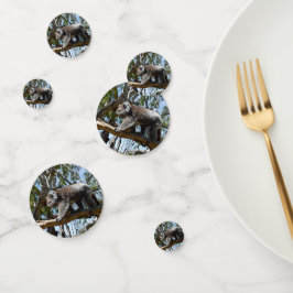 Australian Koala Beer, Confetti