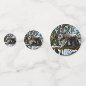 Australian Koala Beer, Confetti (Voorkanten)