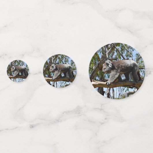 Australian Koala Beer, Confetti (Voorkanten)