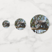 Australian Koala Beer, Confetti (Achterkanten)