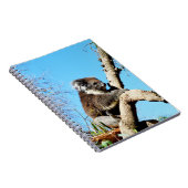 Australian Koala Beer in oude dennenboom, Notitieboek (Rechterzijde)