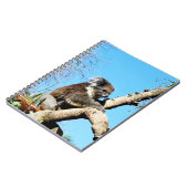 Australian Koala Beer in oude dennenboom, Notitieboek (Linkerzijde)