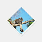 Australian Koala Beer in oude dennenboom, Servet (Hoek)