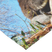 Australian Koala Beer in oude dennenboom, Tafelkleed (Gekanteld)