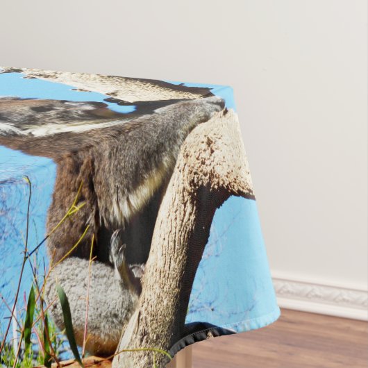 Australian Koala Beer in oude dennenboom, Tafelkleed (Voorbeeld)