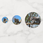 Australian Koala Beren Confetti (Voorkanten)