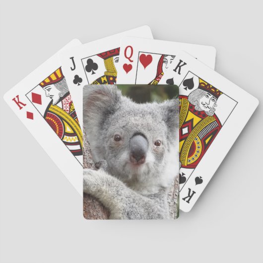 Australian Koala Pokerkaarten (Achterkant)