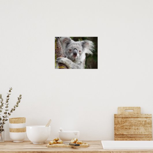 Australian Koala Poster (Keuken)