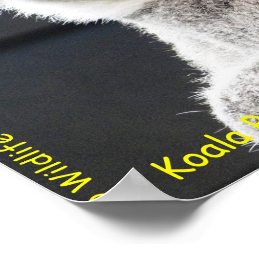 Australian Koala Poster (Hoek)