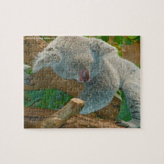Australian Koalas Legpuzzel (Horizontaal)
