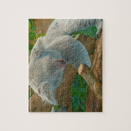 Australian Koalas Legpuzzel (Verticaal)
