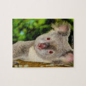 Australian Koalas Legpuzzel (Horizontaal)