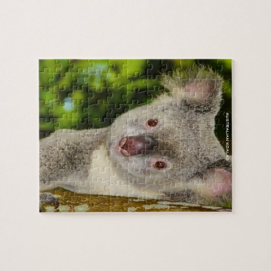 Australian Koalas Legpuzzel (Horizontaal)