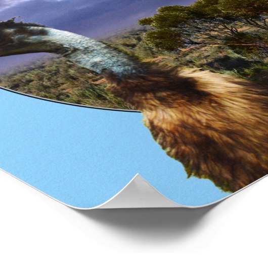 Australian Kookaburra and Emu, Poster (Hoek)