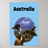 Australian Kookaburra and Emu, Poster (Voorkant)