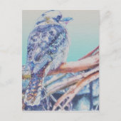 Australian Kookaburra Briefkaart (Voorkant)