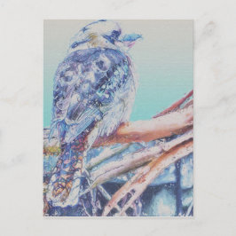 Australian Kookaburra Briefkaart