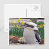 Australian Kookaburra Briefkaart (Voorkant / Achterkant)