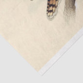 Australian Kookaburra Decoupage Tissuepapier (Detail)