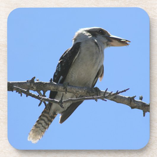 Australian Kookaburra Drankjes Onderzetter (Voorkant)