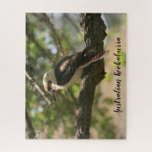 Australian Kookaburra Legpuzzel (Verticaal)