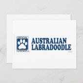 Australian Labradoodle Blue Briefkaart (Voorkant / Achterkant)