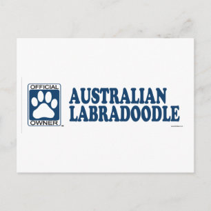 Australian Labradoodle Blue Briefkaart