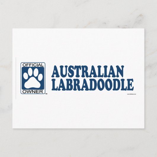 Australian Labradoodle Blue Briefkaart (Voorkant)
