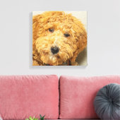 Australian Labradoodle Canvas Afdruk (Insitu (Woonkamer))