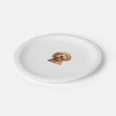 Australian Labradoodle Papieren Bordje (Gekanteld)