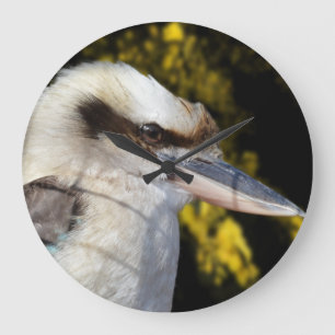 Australian Laugh The Kookaburra Grote Klok