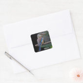 Australian Laughing Kookaburra Bird Vierkante Sticker (Envelop)