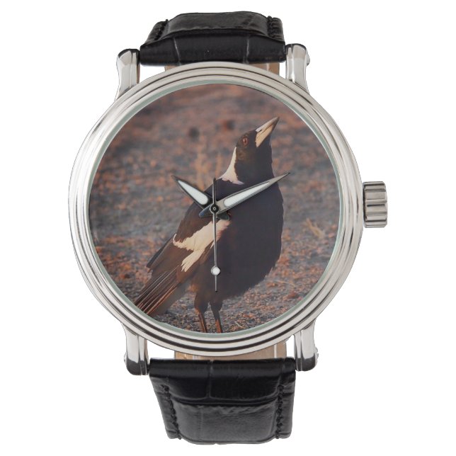 Australian Magpie horloge (Voorkant)