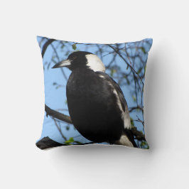 Australian Magpie Kussen