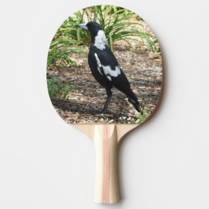 Australian Magpie Ping Pong Paddle Tafeltennisbatje