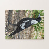 Australian Magpie Puzzle Legpuzzel (Horizontaal)