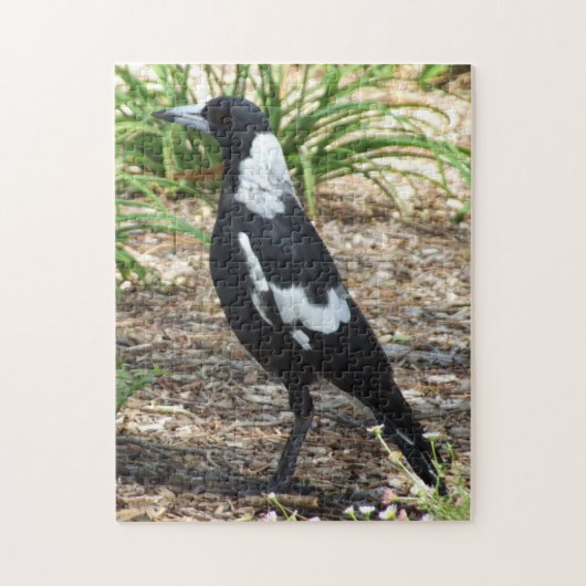Australian Magpie Puzzle Legpuzzel (Verticaal)