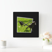 Australian Magpies that Standout, Vierkante Klok (Huis)