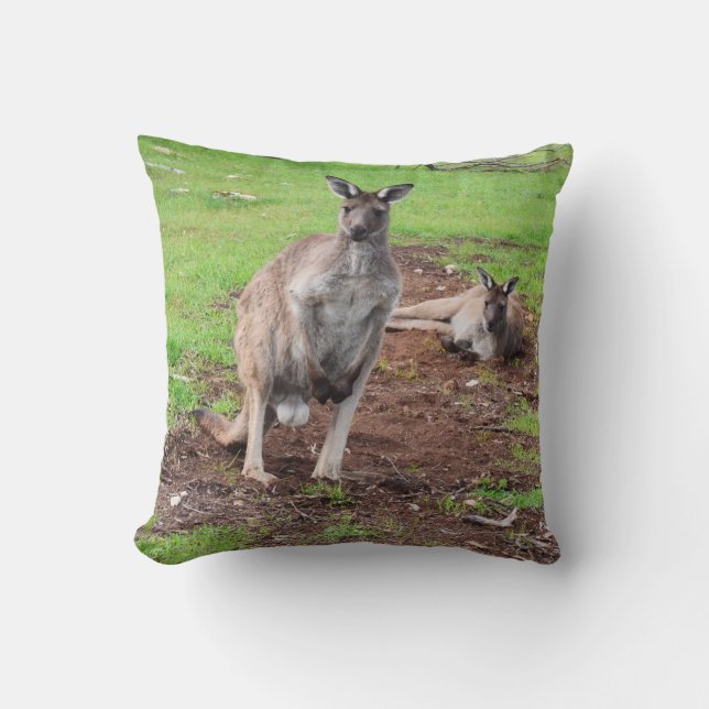 Australian Male Buck Kangaroo, Throw Cushion. Kussen (Voorkant)